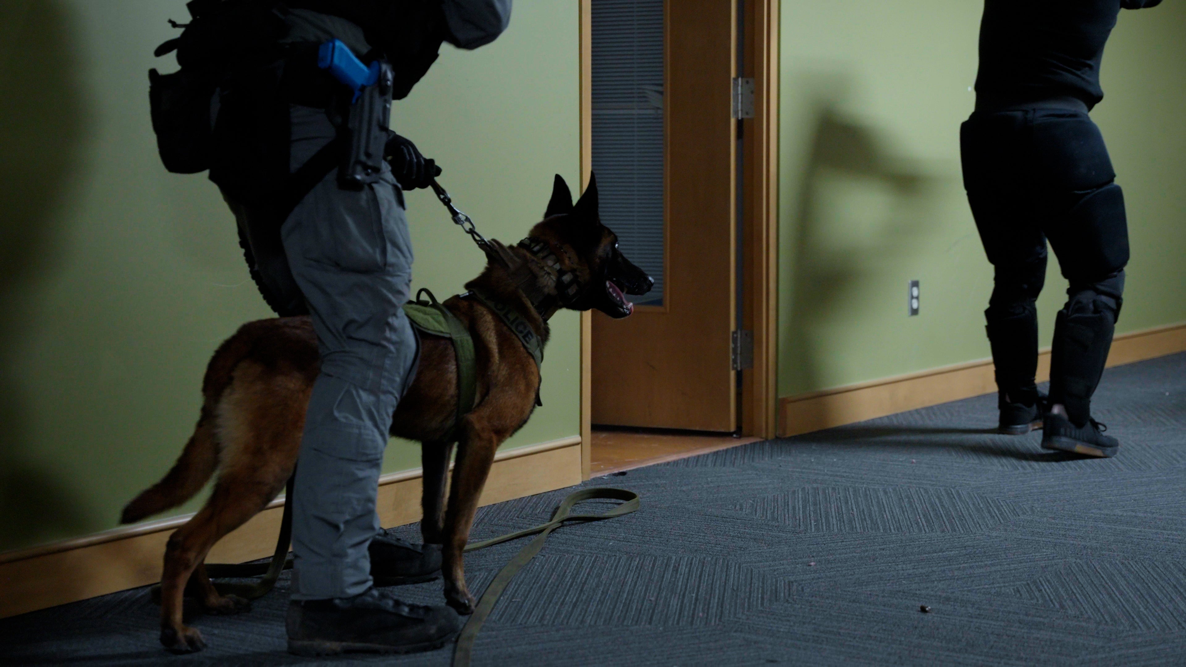 K9 Specific Training - Interoperability Enhancement **Open to all LEA services**