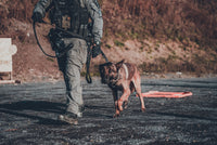 K9 Enhancement Course