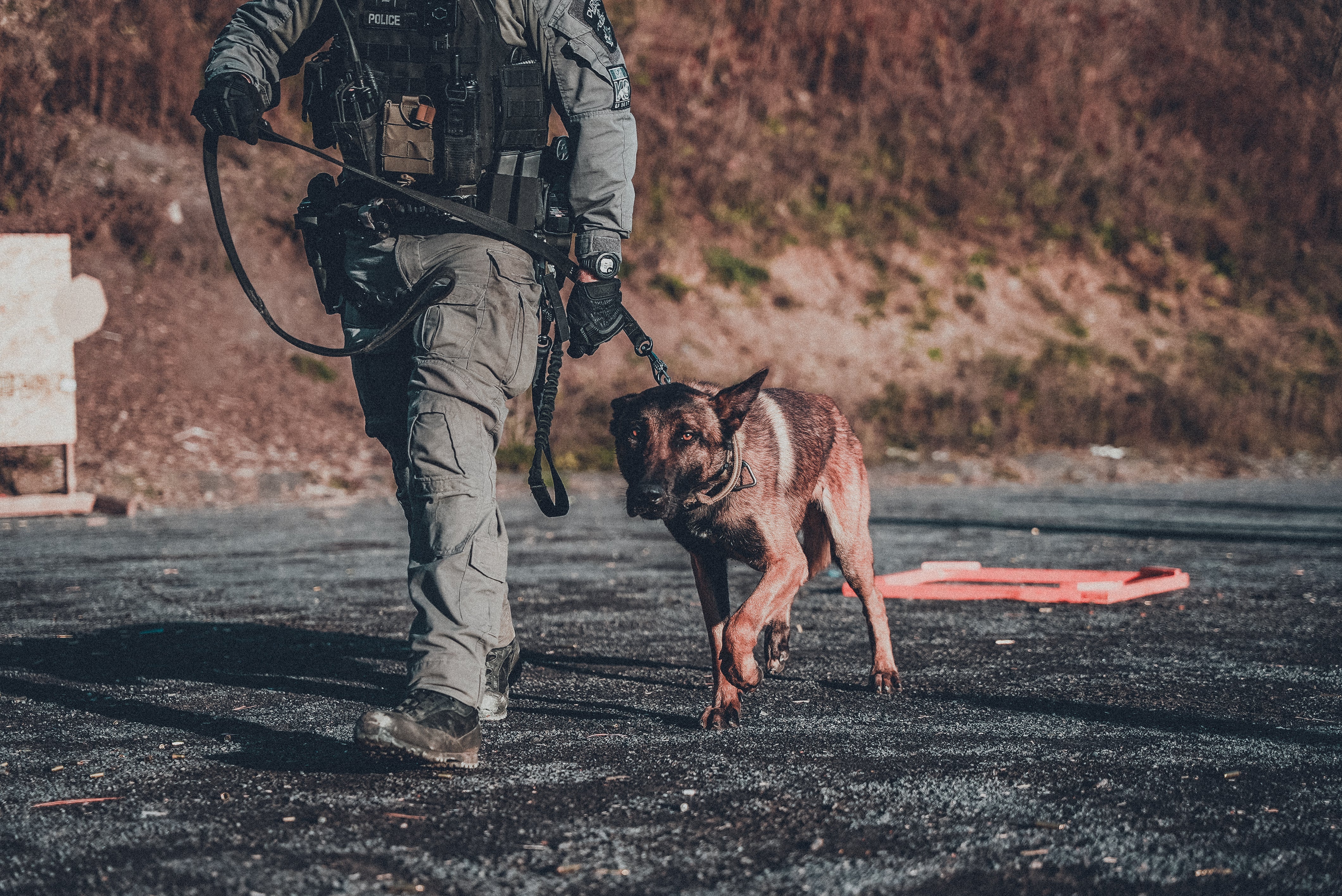 K9 Enhancement Course