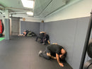 2-day Combative / DT enhancement course